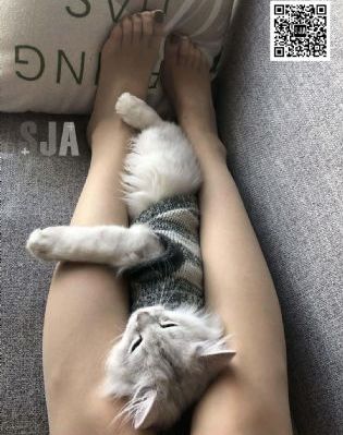 欲望飞扬