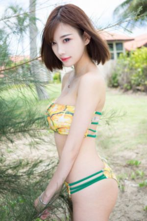 黄昏大丽花