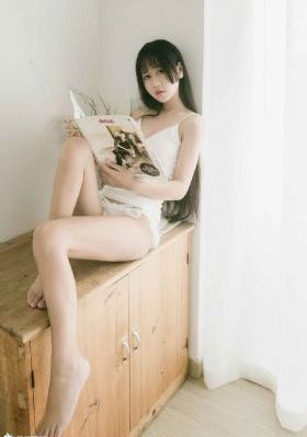 暴力法则