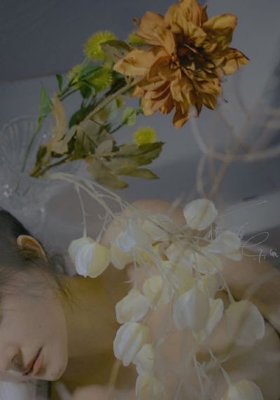 繁花在线观看完整版高清免费