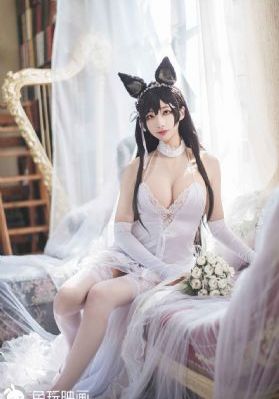 楼莲花电视剧免费