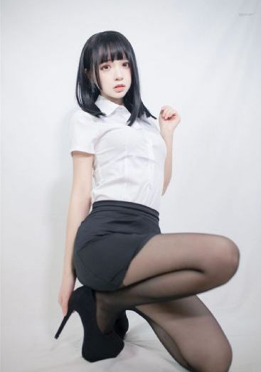 细狗网页版免费登录入口