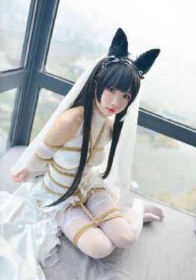 藏海花电视剧免费观看完整版