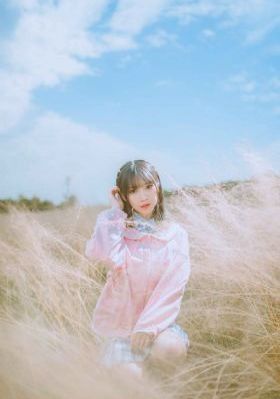 维斯塔小镇家长会免费观看