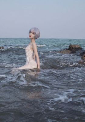 追爱家族