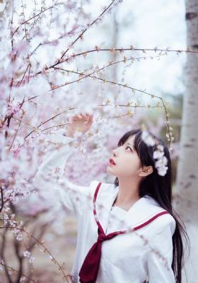 蝌蚪视频窝安全视频