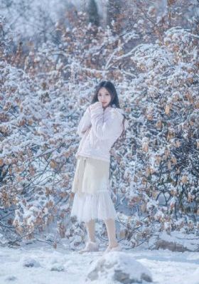 神雕侠侣黄晓明版